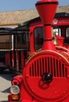 Tren Turístico - Costa Ballena